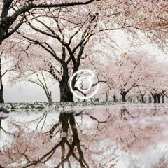 🌸방 안에서 벚꽃구경🌸 - 봄에 듣기 좋은 힐링음악 모음집 / 설레는, 밝은, 발랄한, 치유되는, 차분한, 경쾌한 피아노 음악 / 오케스트라 음악