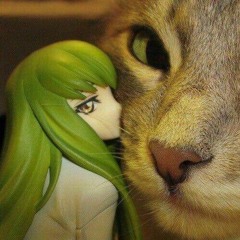 sensorywounds - no luv prod wyn