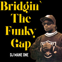 Bridgin' The Funky Gap - DJ Mane One