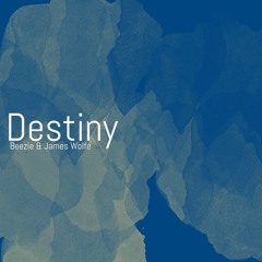 Destiny (Beezie and James Wolfe remix)