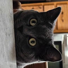 sickbeatmannn_roughdraft