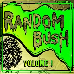 the RandomBush Comedy Album Vol 1