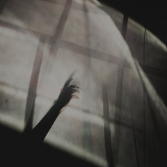 WINDOW PAIN (Prod.19)