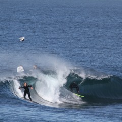 RIGHTS 'N' LEFTS | Slippery Surfa