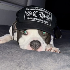 BASSKILLER