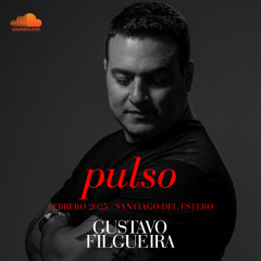 Gustavo Filgueira - Pulso Sgo del Estero Febrero 2025