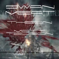 ONE WINGED ANGEL ft SWAN MEAT, MATT TECSON, THEGN