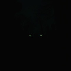 Night of the living dead