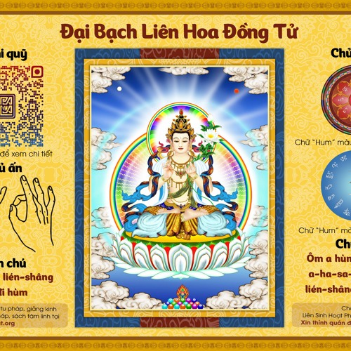 🎵 Tâm Chú Liên Hoa Đồng Tử BẢN HỘ MA (HOẢ CÚNG) | Liên Sinh Hoạt Phật Lư Thắng Ngạn  -「蓮花童子心咒」