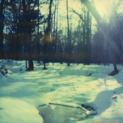 inlovewiththesnow