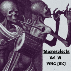 Microselects Vol. VI - PiNG (UK)