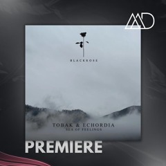PREMIERE: TOBAK & Echordia - Sea Of Feelings (Original Mix) [Black Rose]