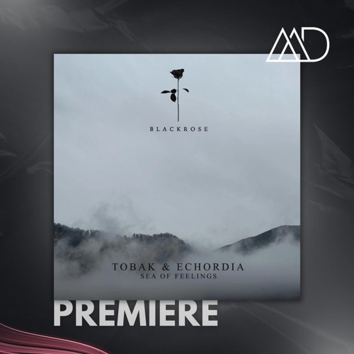 PREMIERE: TOBAK & Echordia - Sea Of Feelings (Original Mix) [Black Rose]