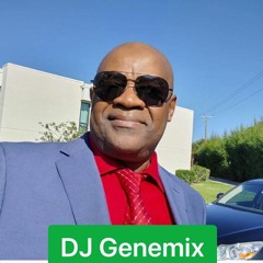 GENEMIX 16