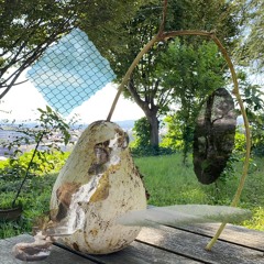honen in_from EP 'melon?'