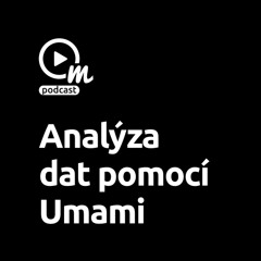 Umami aneb proč se nespoléhat jen na GA4?