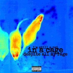 despite all my rage (prod. by NASAFM)