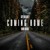 Artwork for Skylar Grey - Coming Home (Vimo Remix) - Free Download
