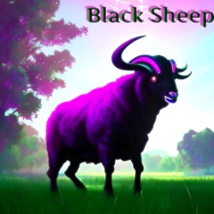 Black Sheep (throwaway)