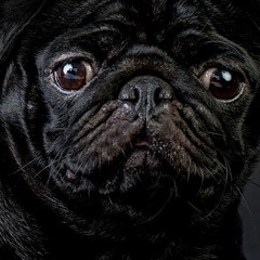 JAM SESSION - AY(Prod. Ae Beats)