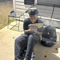 YNT BRAN- HUH (FAST)