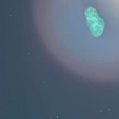 new year, same life / ghost in the wall (sorrowbringer x cxrter)