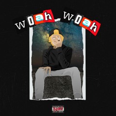 Woah Woah(prod. klarisathegoat)