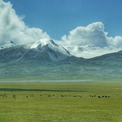 【唐古拉风暴】全集  Storm Of Tanggula