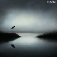 sombre. // [ sec. V ]