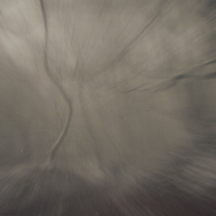 wlr196 Louis Gardner - Emotionally Suited To Be A Solo Pianist