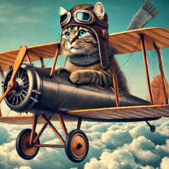Cats in Jets - Felines in Aeroplanes