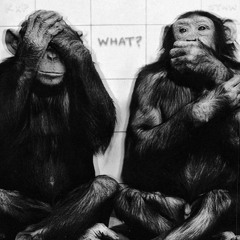 What? w/ KPASA  [Free Download]
