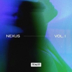 DJ TRACKSÜIT – Put In Work [TNT005]
