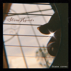Slow Hands by Niall Horan (acoustic cover)