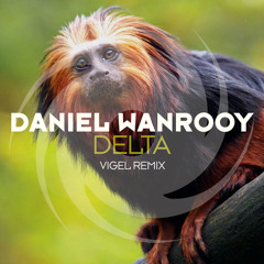 Delta (Vigel Remix)