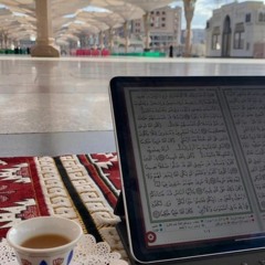 حفظ القرآن أم فهم العلم؟ | أحمد السيّد