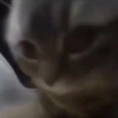 CHIPI CHIPI CHAPA CHAPA DUBI DUBI (1H)