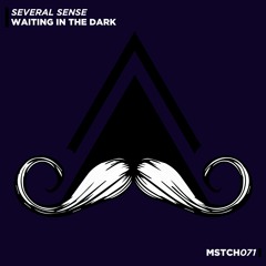 Several Sense - Waiting In The Dark (Original Mix) [MUSTACHE CREW RECORDS]