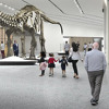 Edward Skeletrix - Yo Bro Will Kill You For A Band