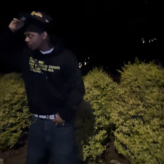 Limits (Skreer x Japan)