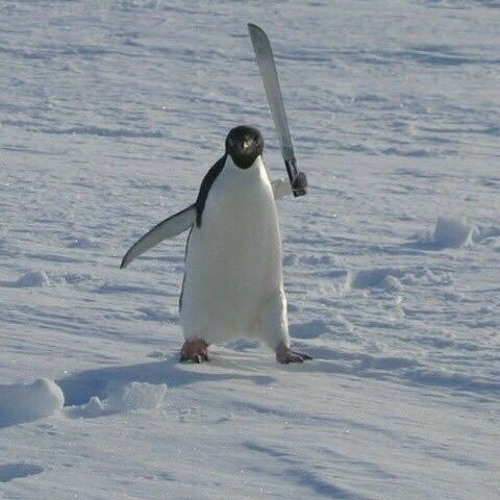 Junglist Affirmation