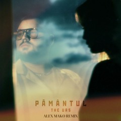 The Urs - Pamantul [Alex Mako Remix]