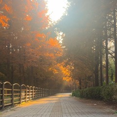 차갑게 식은 그대