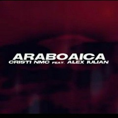 Cristi NMC ❌ Alex Iulian - ARABOAICA