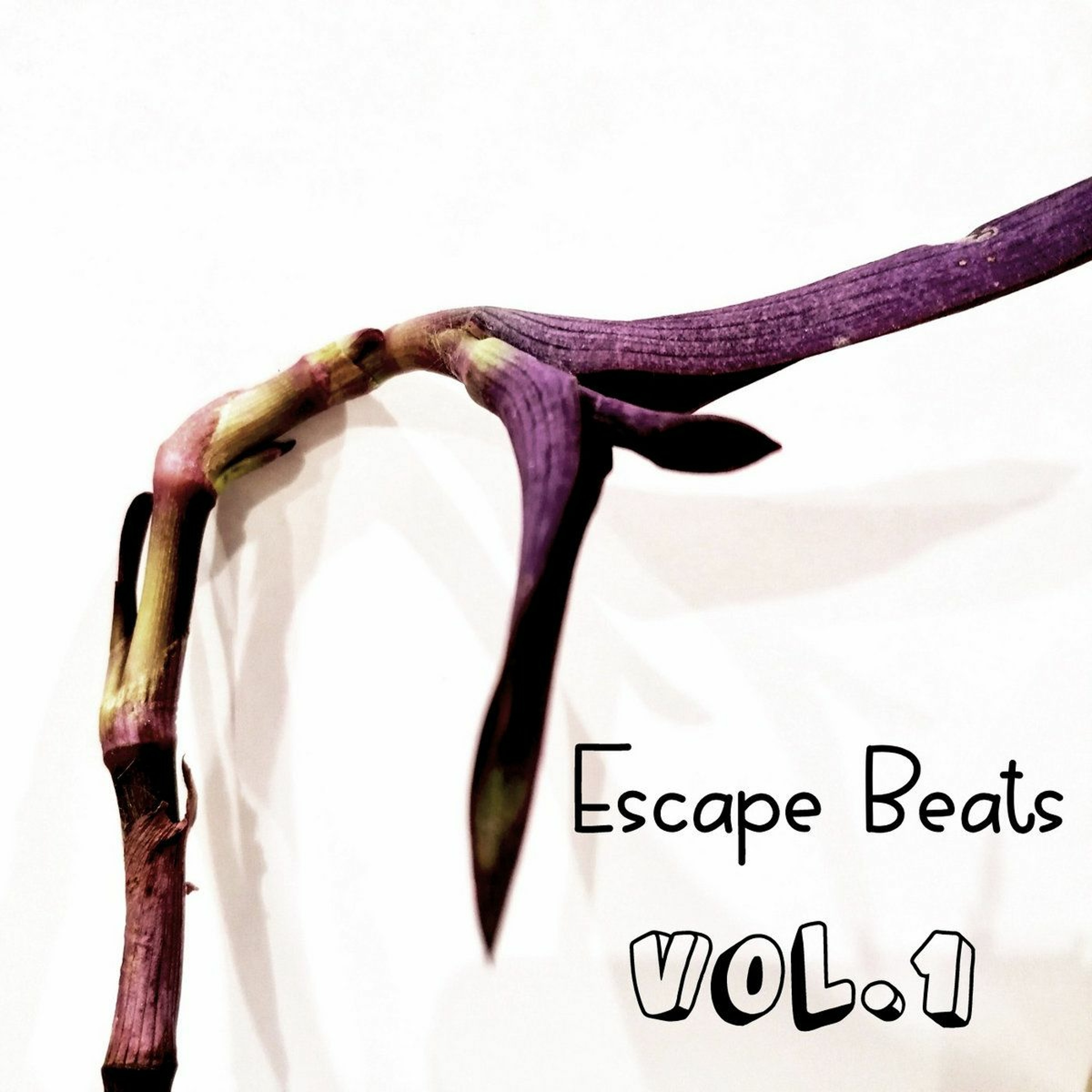 Escapism Refuge - Far From The Well (Bandcamp) [FKOF Promo] episode artwork