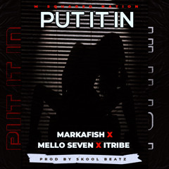 Put It In (Feat. Mello Seven & I-Tribe)