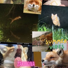 zakhidna - summer vibe vol2