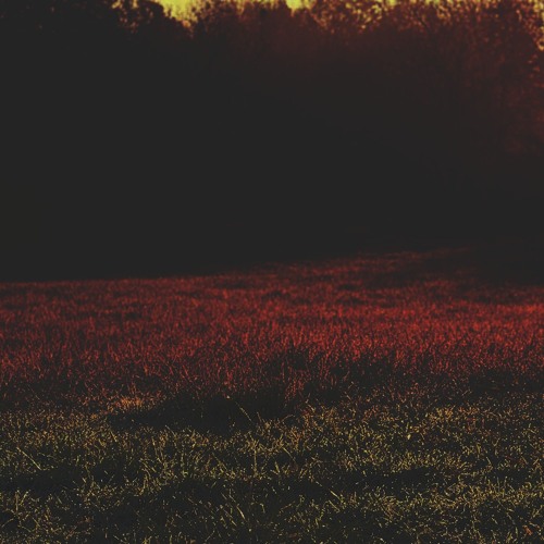 When All Is Not Yet Lost