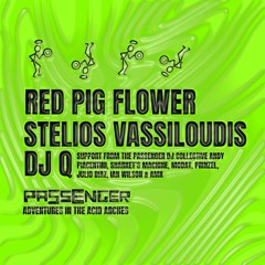 AMK - Passenger @ The Acid Arch with  Red Pig Flower, Stelios Vassiloudis & DJ Q- Saturday 21st Dec
