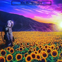 MALIBU SESSIONS - SKYWALK3R (Let's  Take A Trip Together #AMAPIANO)EP 1